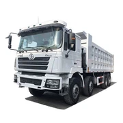 Shacman f 3000 8 x 4 70 톤 덤프 트럭